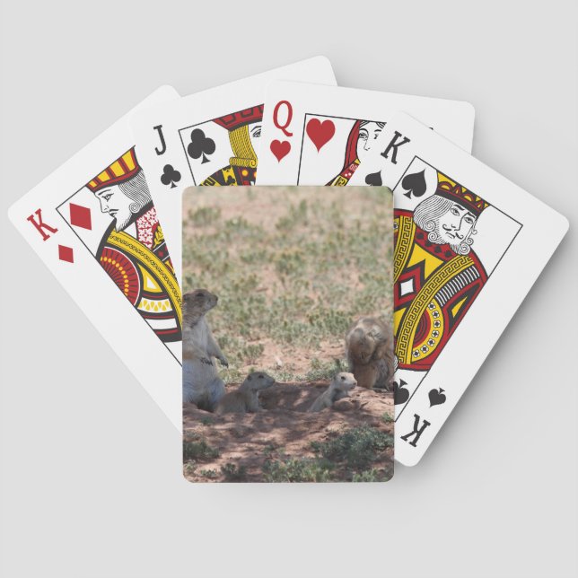 Prairie Dog Family Poker Cards (Back)