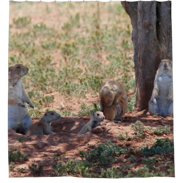Prairie Dog Family Shower Curtain (Front)