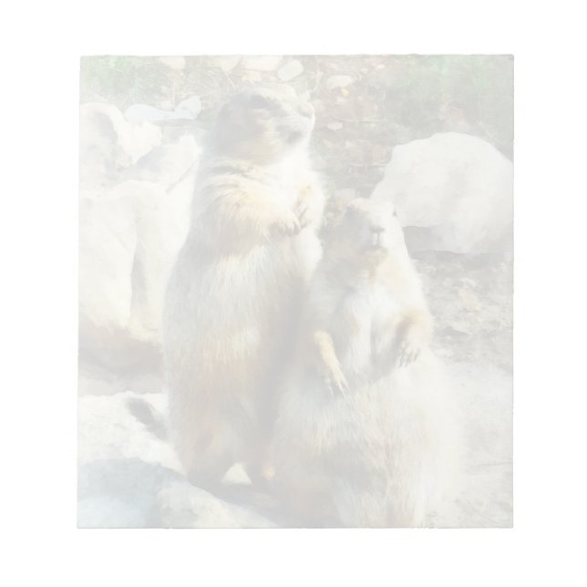 Prairie Dog Formal Portrait Notepad (Front)