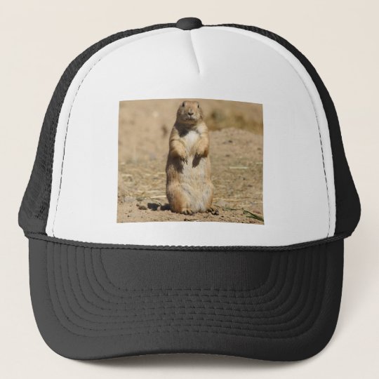 Prairie Dog Hat | Zazzle.com
