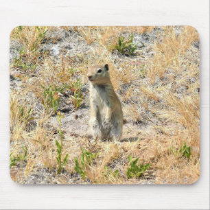 Prairie Dog in Yosemite, CA Mouse Pad