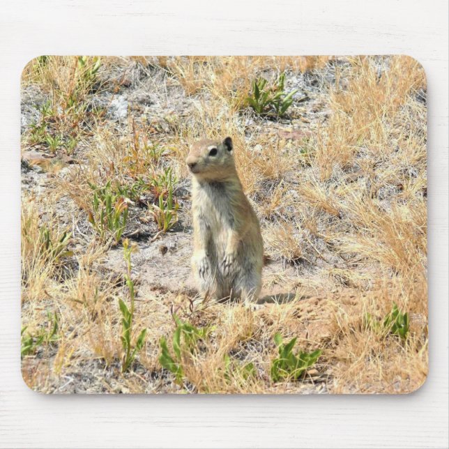 Prairie Dog in Yosemite, CA Mouse Pad (Front)