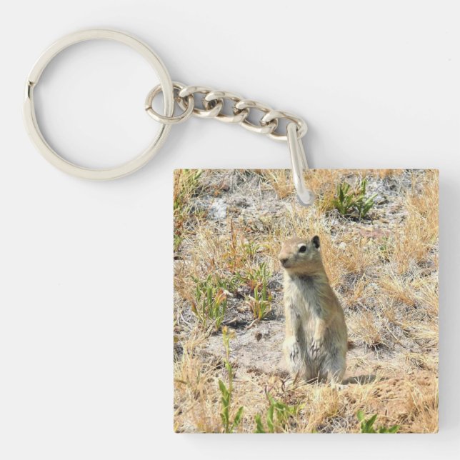 Prairie Dog in Yosemite, California Keychain (Front)