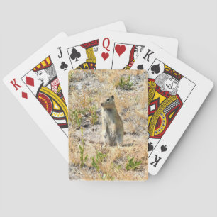 Prairie Dog in Yosemite, California Poker Cards
