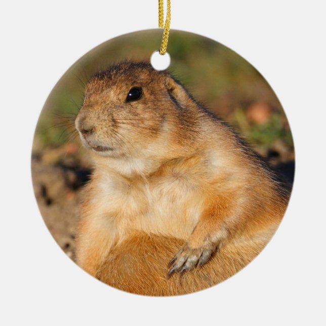 prairie dog is full ceramic ornament (Front)