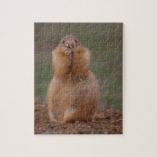 prairie dog jigsaw puzzle