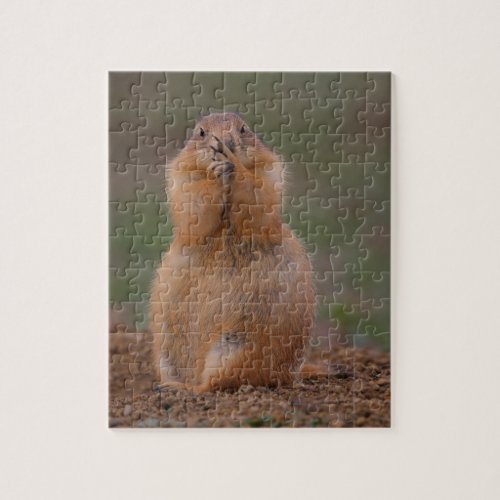 prairie dog jigsaw puzzle