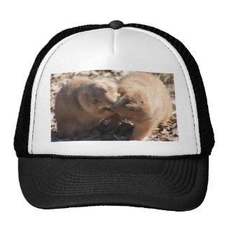 Prairie Dog Hats and Prairie Dog Trucker Hat Designs