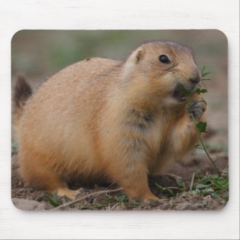 Prairie Dog Mouse Pad by WorldDesign at Zazzle