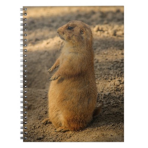 Prairie Dog Notebook