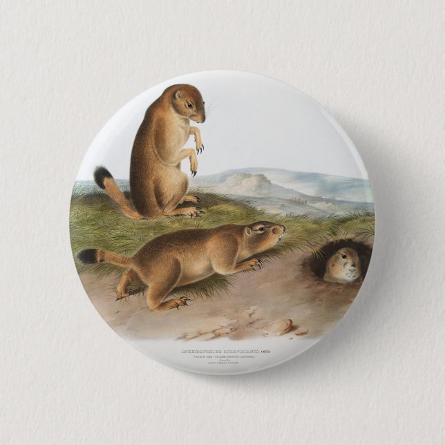Prairie Dog or Prairie marmot squirrel Camping Button (Front)