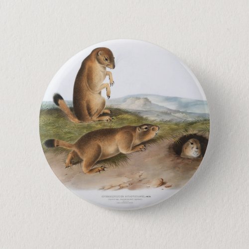 Prairie Dog or Prairie marmot squirrel Camping Button