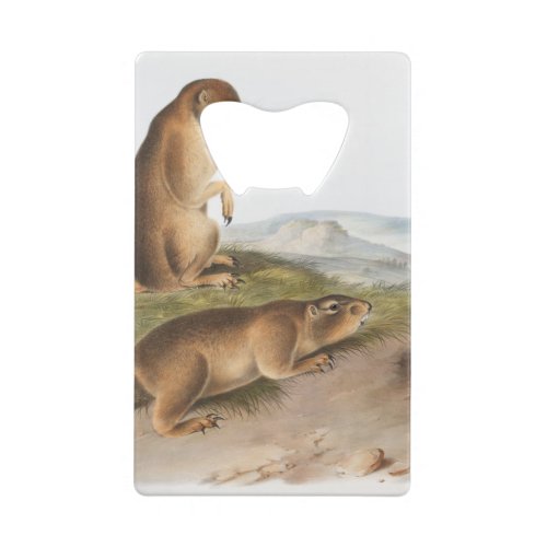 Prairie Dog or Prairie marmot squirrel Camping Credit Card Bottle Opener