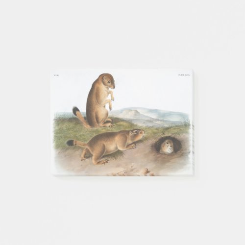 Prairie Dog or Prairie marmot squirrel Camping Post_it Notes