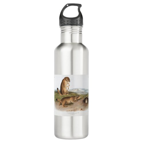 Prairie Dog or Prairie marmot squirrel Camping Stainless Steel Water Bottle