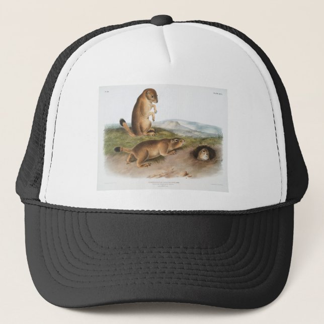 Prairie Dog or Prairie marmot squirrel Camping Trucker Hat (Front)