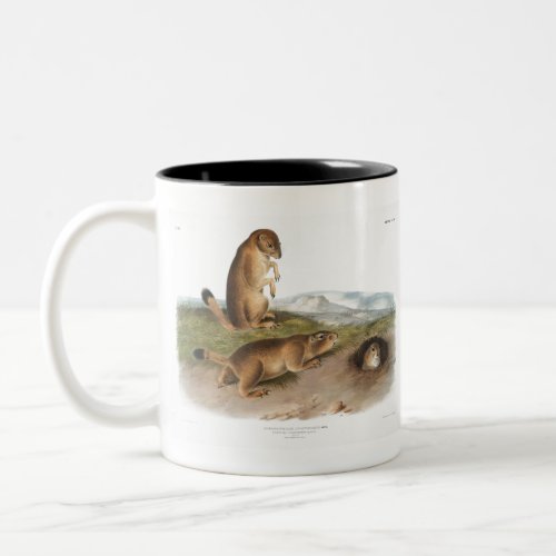 Prairie Dog or Prairie marmot squirrel Camping Two_Tone Coffee Mug
