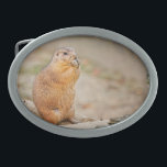 Prairie dog oval belt buckle<br><div class="desc">Prairie dog. This cute creature is just to nice and seems to be flattered as I also this image. I just let him alone as it is enjoying his breakfast. Wiki: Prairie dogs (genus Cynomys) are burrowing rodents native to the grasslands of North America. Prairie dogs are named for their...</div>