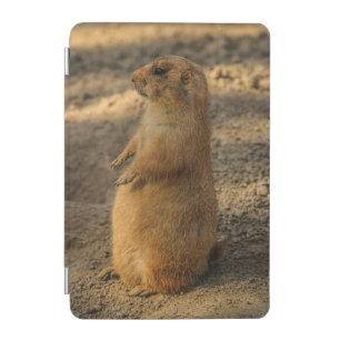 Prairie Dog Photo iPad Mini Cover