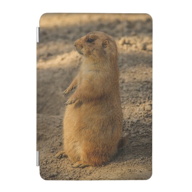 Prairie Dog Photo iPad Mini Cover (Front)