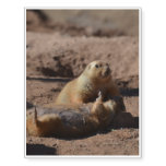 Prairie Dog Playing Dead Temporary Tattoos