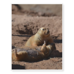 Prairie Dog Playing Dead Temporary Tattoos