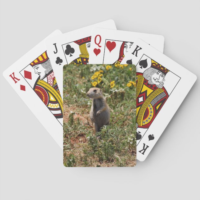 Prairie Dog Poker Cards (Back)
