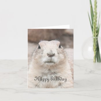 Prairie Dog Portrait Birthday Card by hildurbjorg at Zazzle