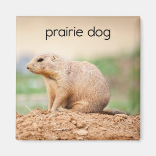 Prairie Dog Refrigerator Magnet