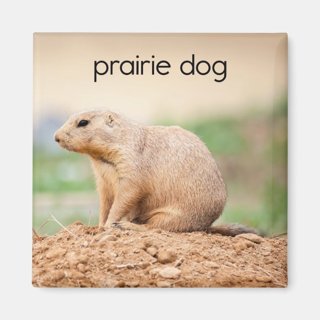 Prairie Dog Refrigerator Magnet (Front)