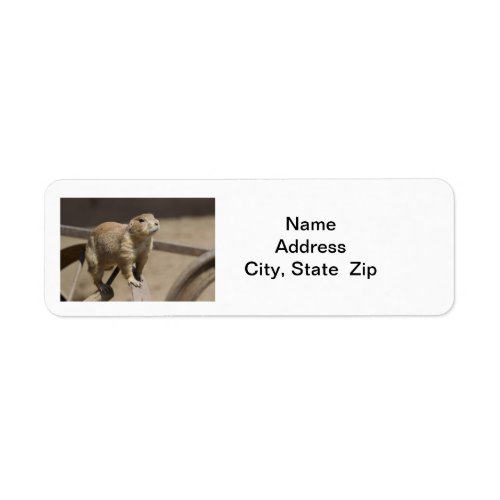 Prairie Dog Return Address Label