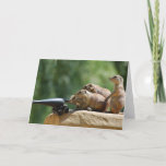 Prairie Dog Soldiers Greeting Card