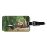 Prairie Dog Soldiers Luggage Tag