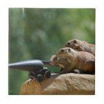 Prairie Dog Soldiers Tile