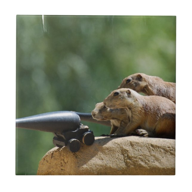 Prairie Dog Soldiers Tile (Front)