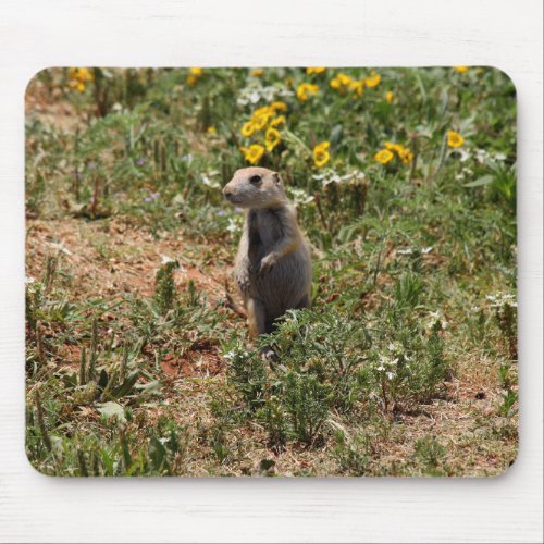 Prairie Dog Solo Mouse Pad