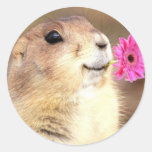 Prairie dog stickers
