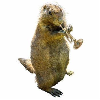 Prairie Dog Trumpeteer Photo Sculpture by LaughingShirts at Zazzle