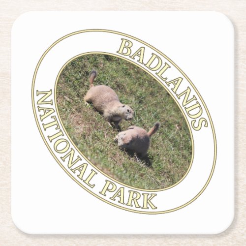 Prairie Dogs at Badlands National Park in SD Square Paper Coaster