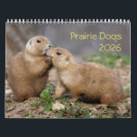 Prairie Dogs Calendar<br><div class="desc">Black-Tailed Prairie Dogs</div>