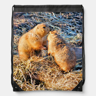 PRAIRIE DOGS DRAWSTRING BAG
