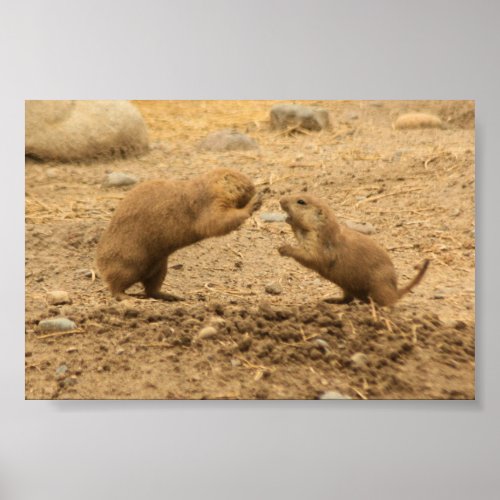 Prairie Dogs Give Me Some Skin Poster