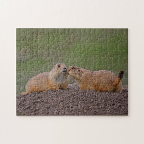 prairie dogs kissing jigsaw puzzle