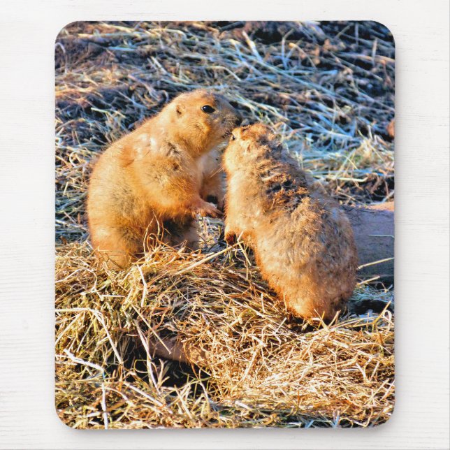 PRAIRIE DOGS MOUSE PAD (Front)