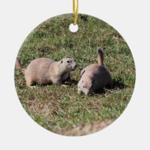 Prairie Dogs Playing in Badlands National Park, SD Ceramic Ornament