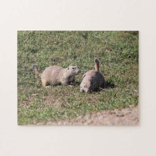 Prairie Dogs Playing in Badlands National Park SD Jigsaw Puzzle