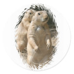 Prairie Dogs Sticker