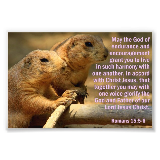 Prairie Dogs with Romans 15:5-6 Photo Print (Front)