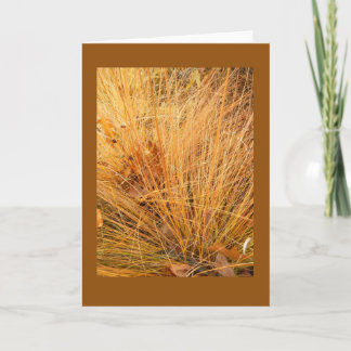 Prairie Dropseed in Fall Blank Note Card