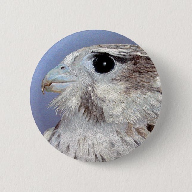 Prairie Falcon Pinback Button (Front)